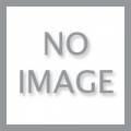 RYN-CHALLIS-110 / WHITE-110-DMG / 100% RAYON CHALLIS